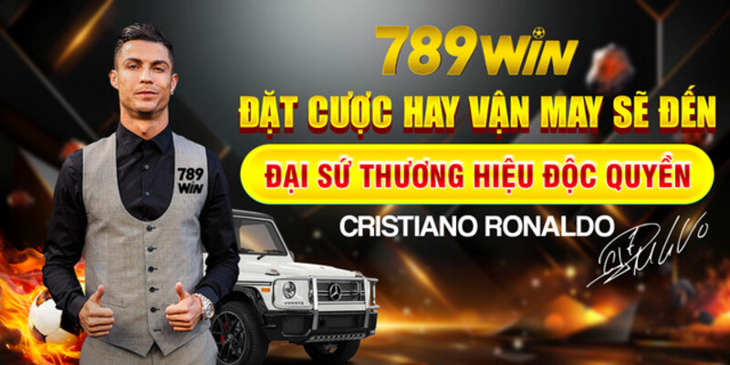 789WIN là địa chỉ cá cược hợp pháp được đầu tư bởi các tập đoàn lớn