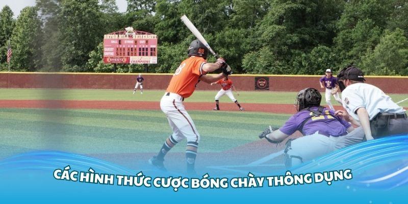 Tìm hiểu các hình thức cược bóng chày thông dụng